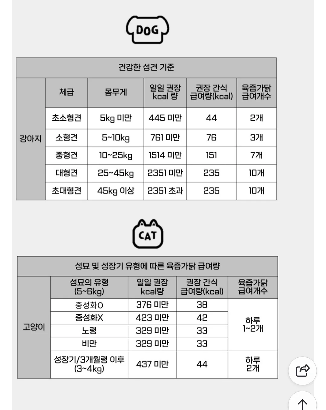 클라우드 래쉬가드세트 13