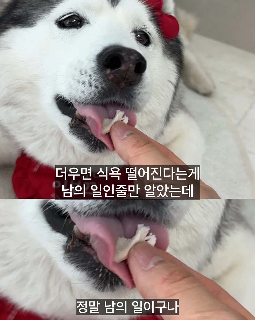 클라우드 래쉬가드세트 4