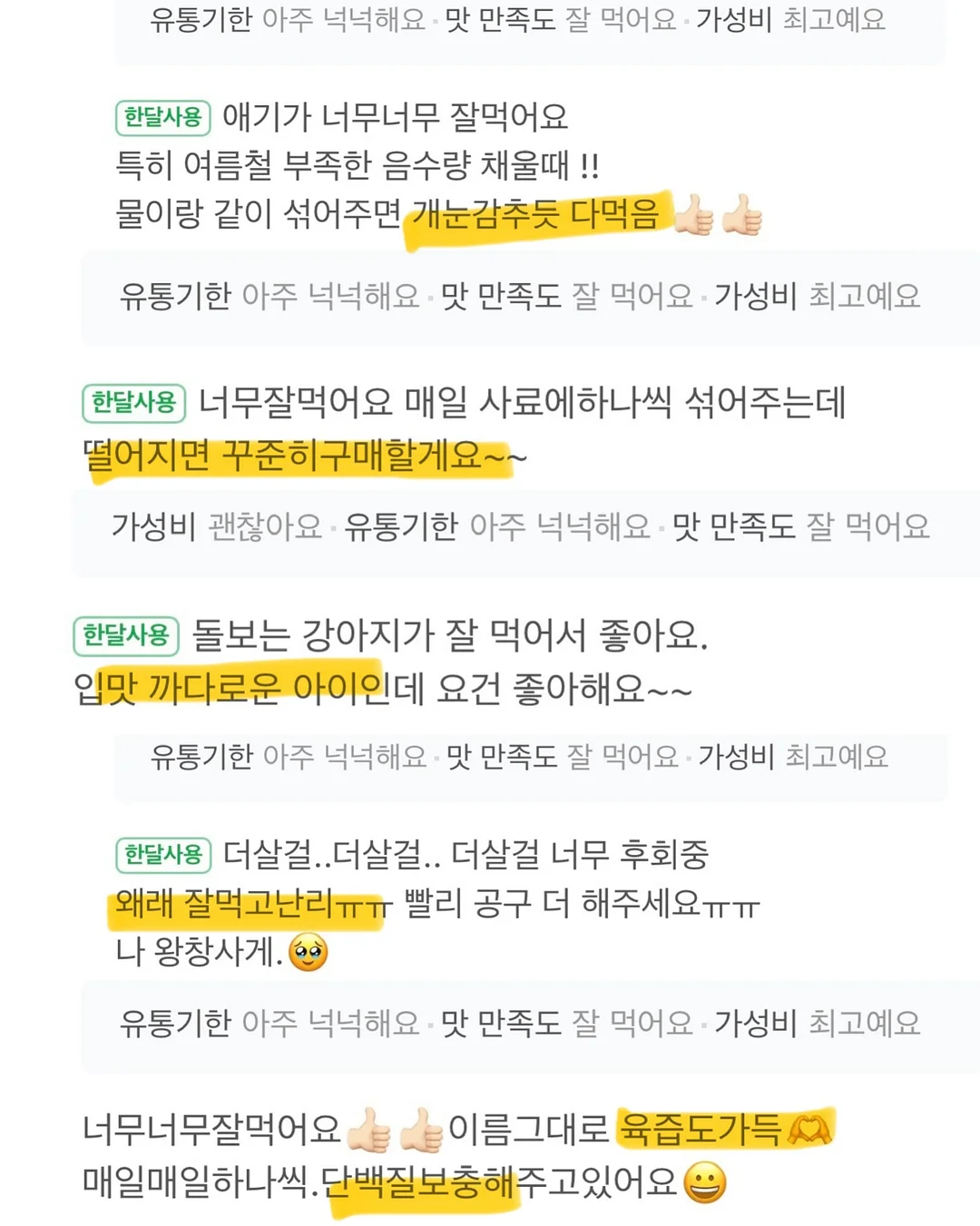 클라우드 래쉬가드세트 6