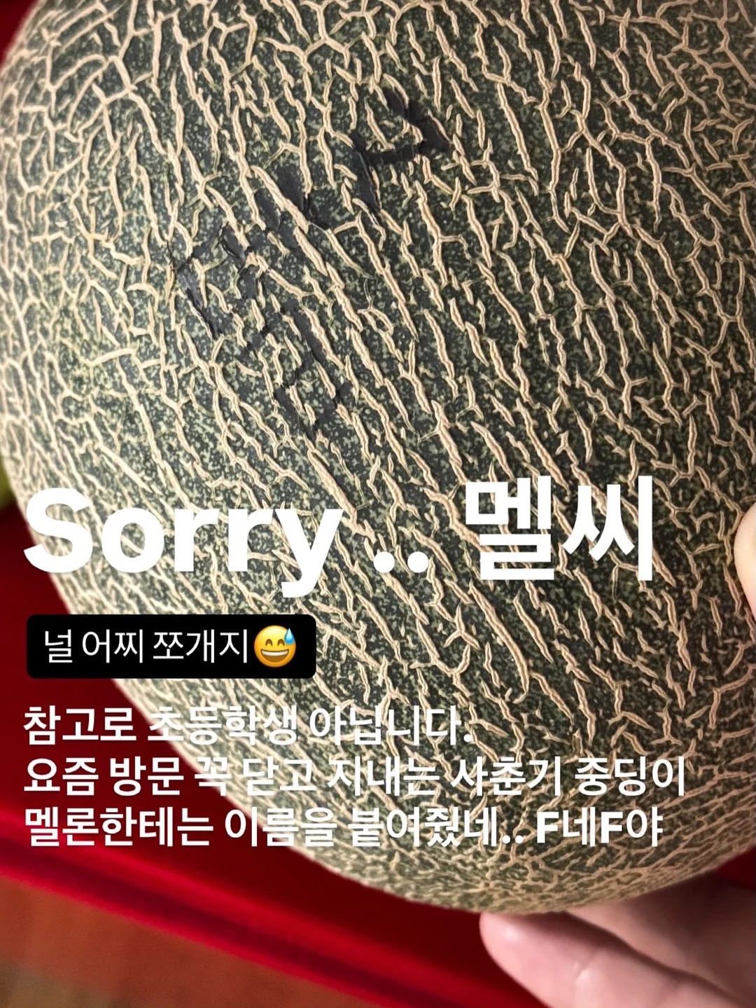 원형 법랑냄비 9