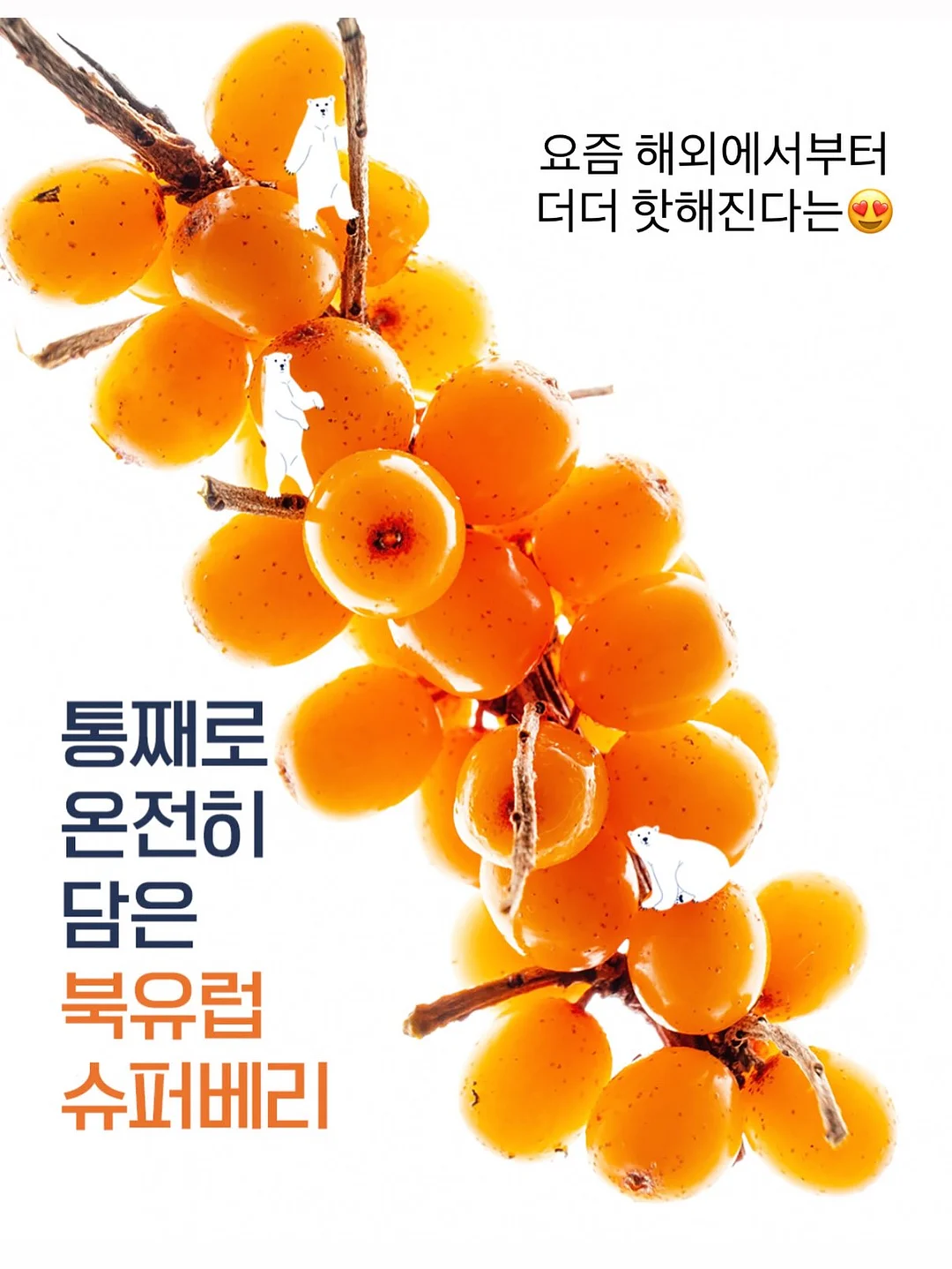 김 9