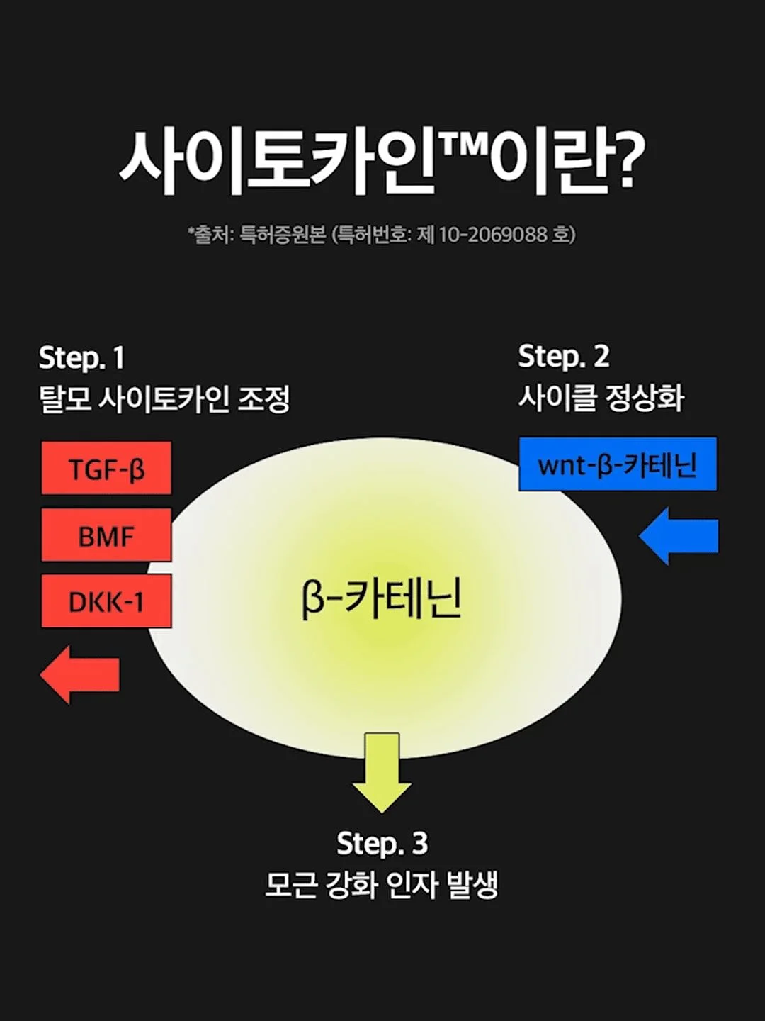 믹스 테리 주방장갑 13