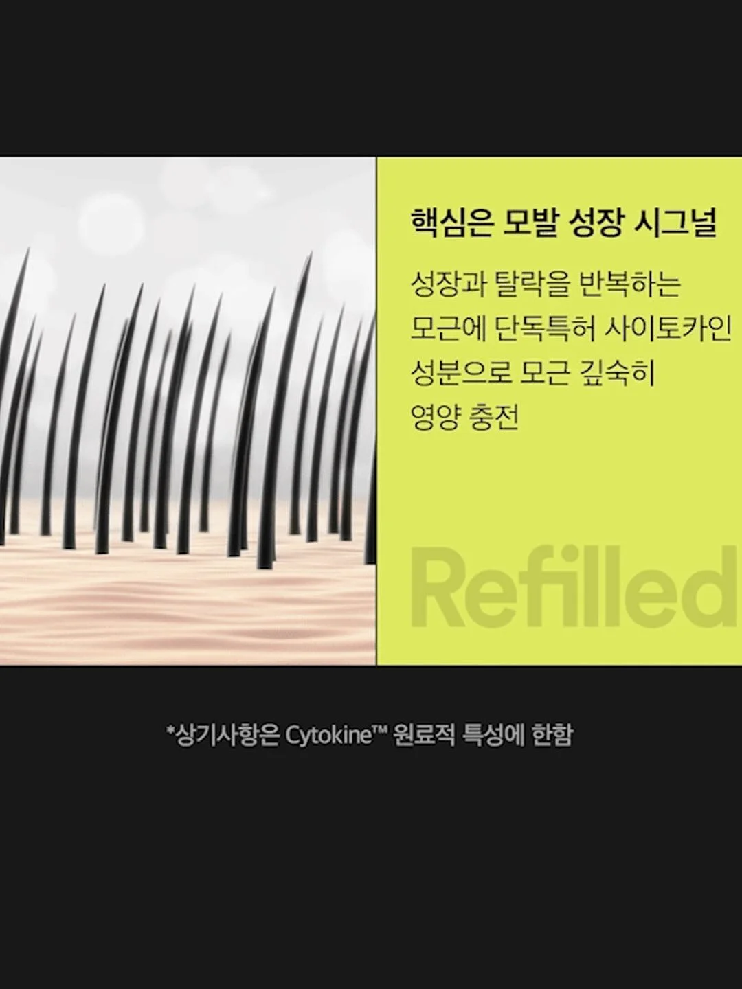 믹스 테리 주방장갑 14