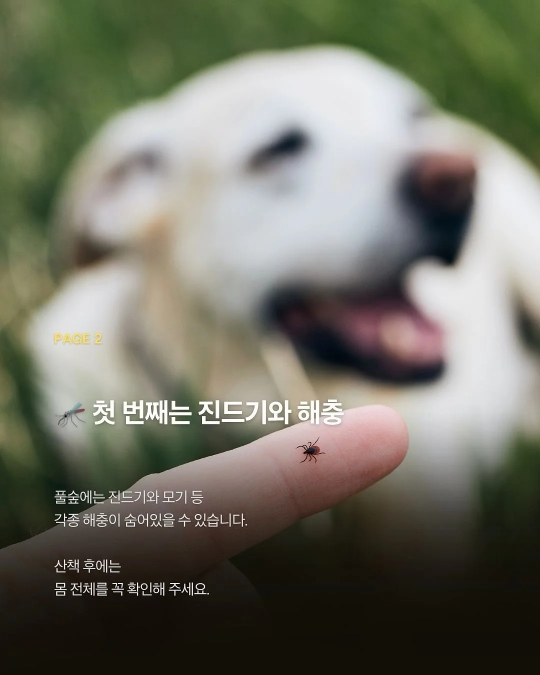 베베데코 느티나무 접이식 롤테이블 3