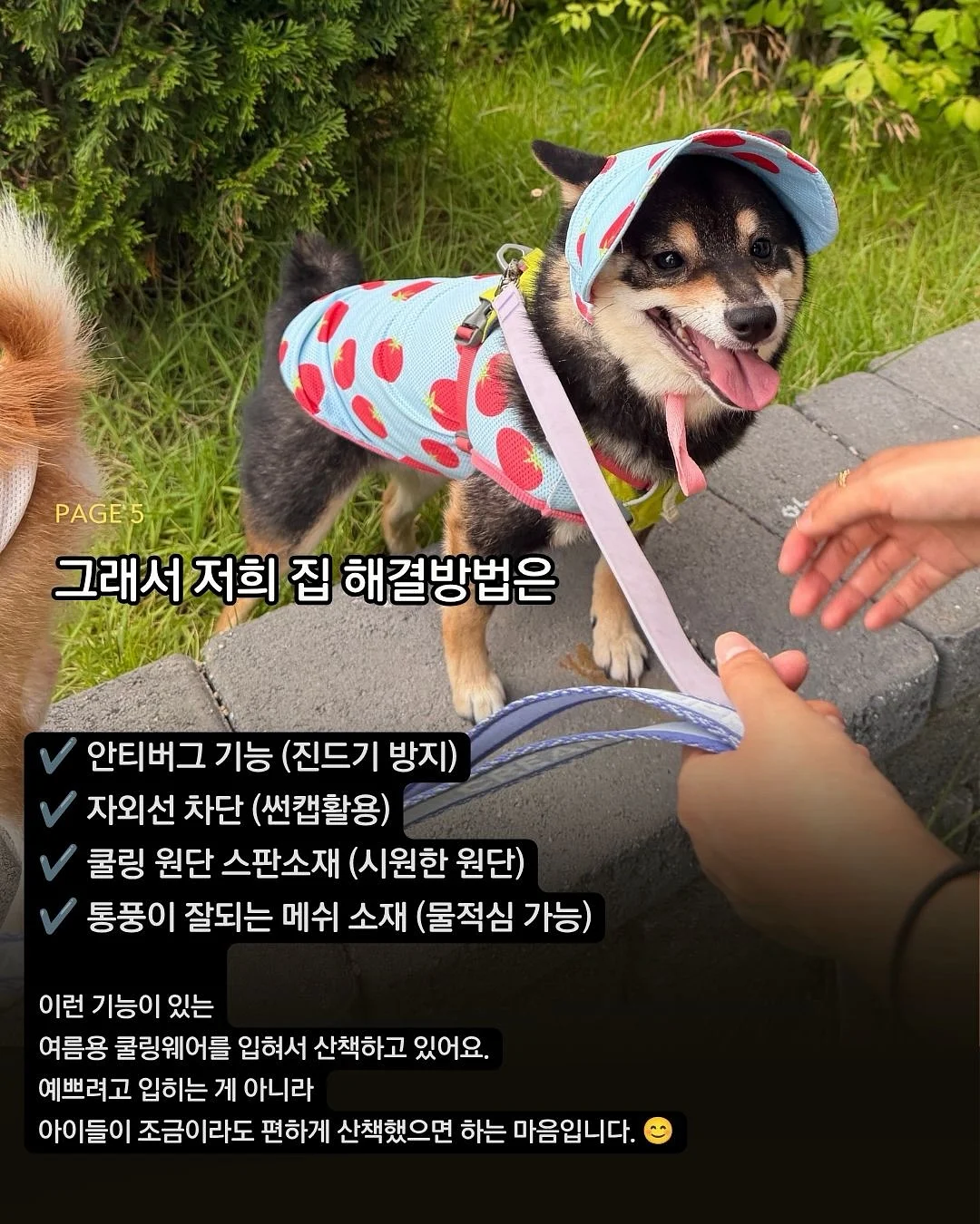 베베데코 느티나무 접이식 롤테이블 6