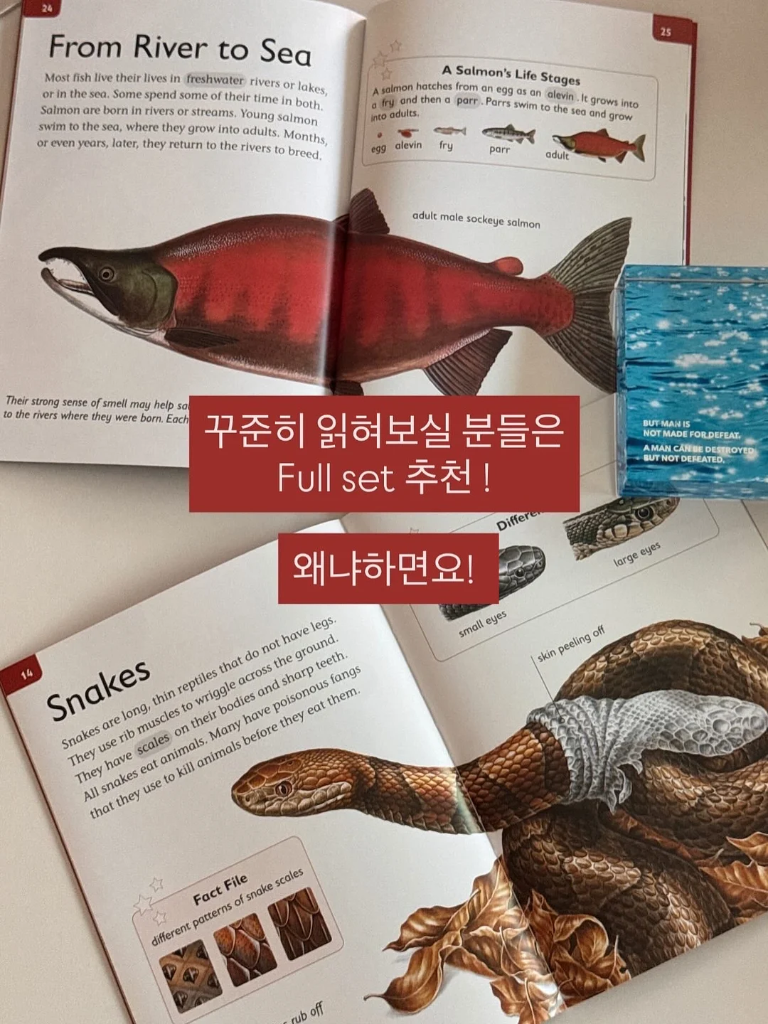 샤크 신상 선풍기 2
