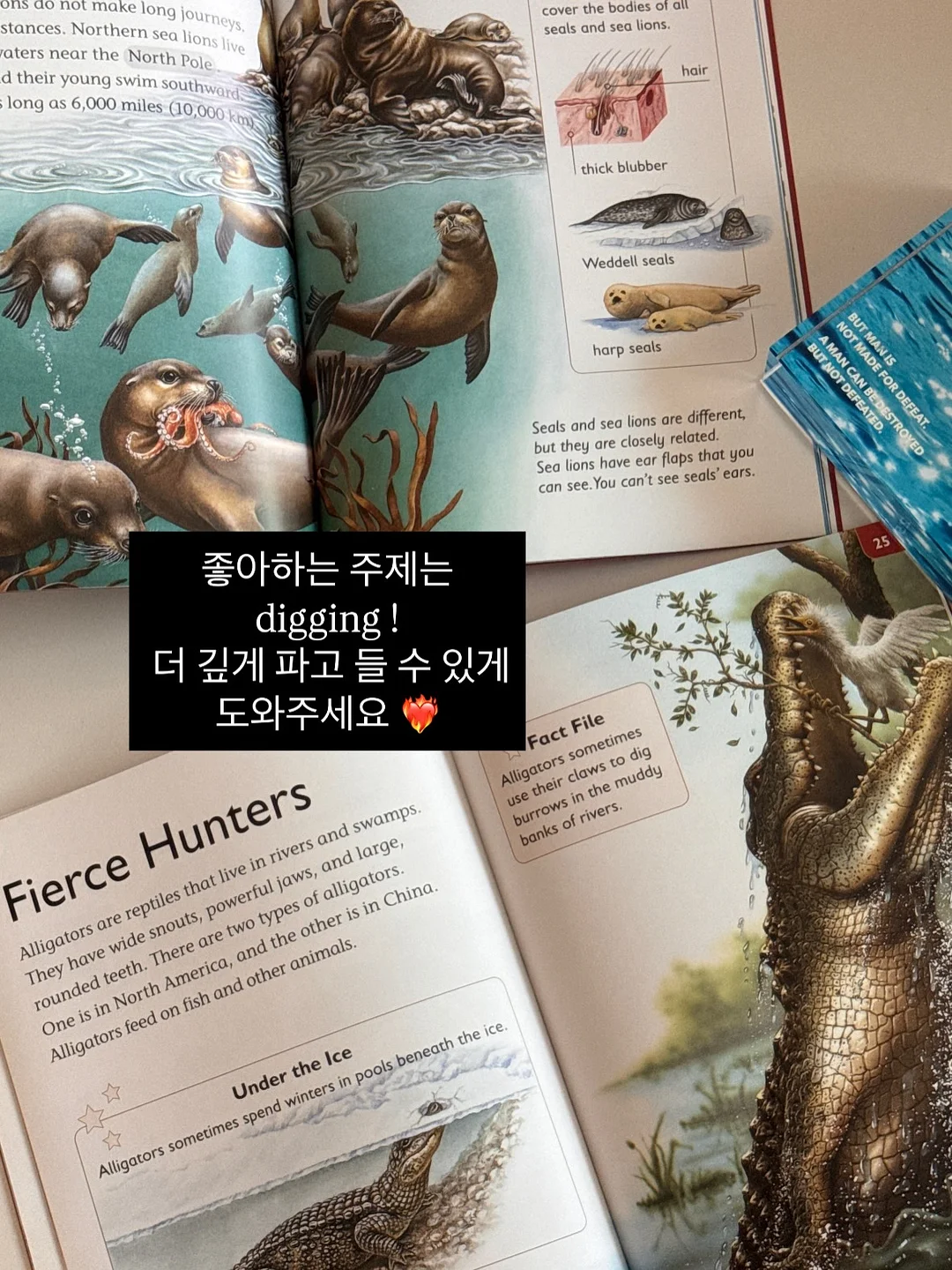 샤크 신상 선풍기 7
