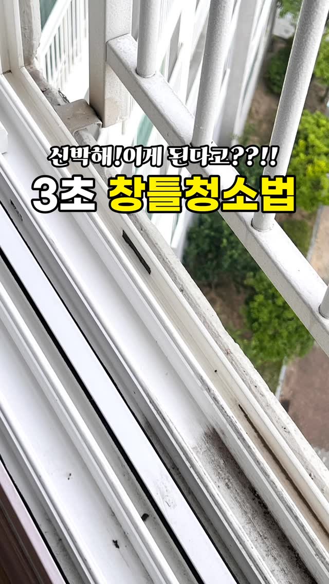 체리 파이 & 컵케이크 레시피