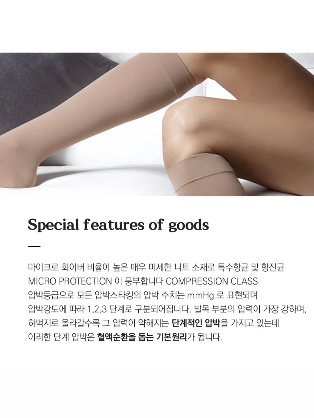파운데이션 12