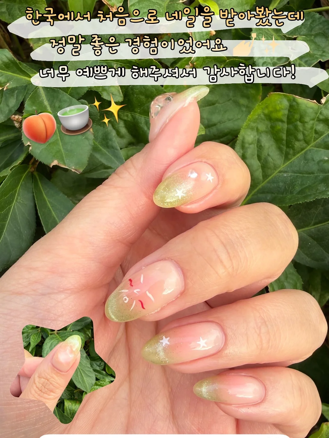 오엘라 흡입이발기 7