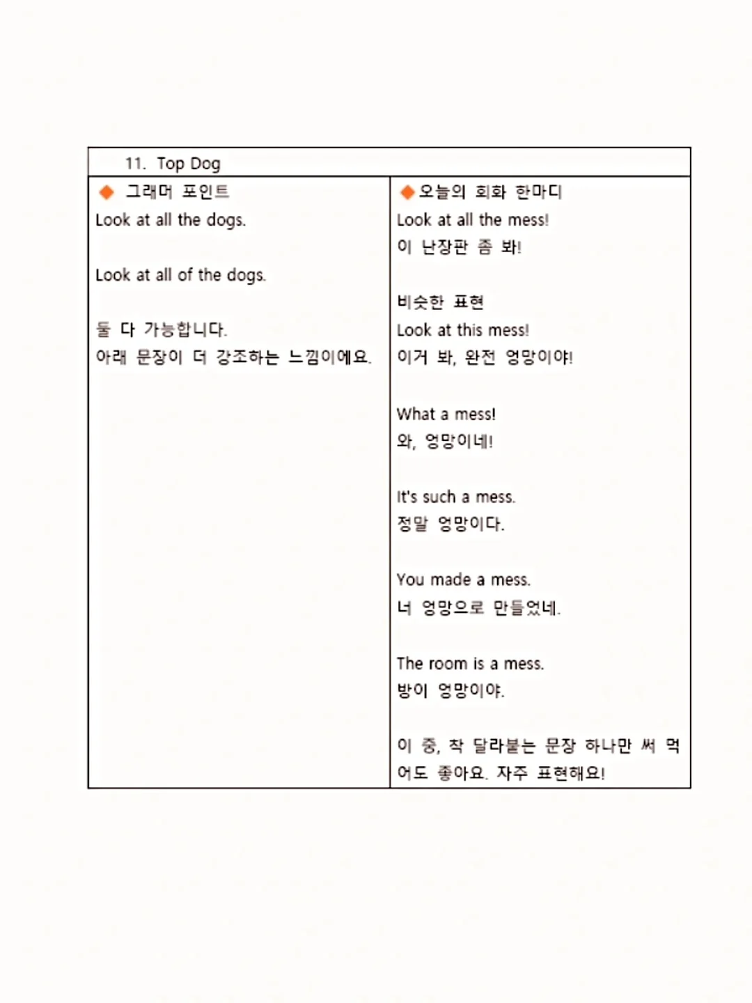 전라도 재래식 배추 김치 9