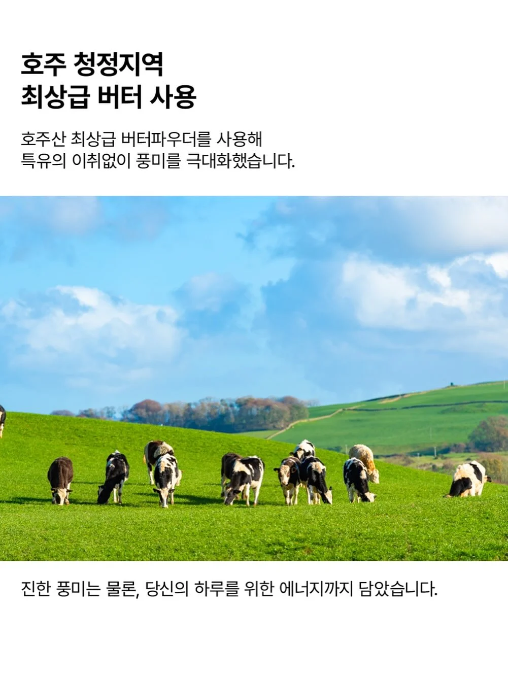 테니스 리턴볼 12