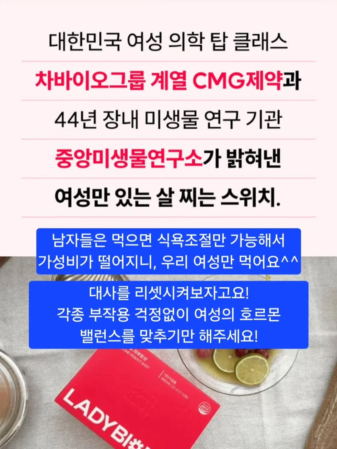 니카사 스팀다리미 11