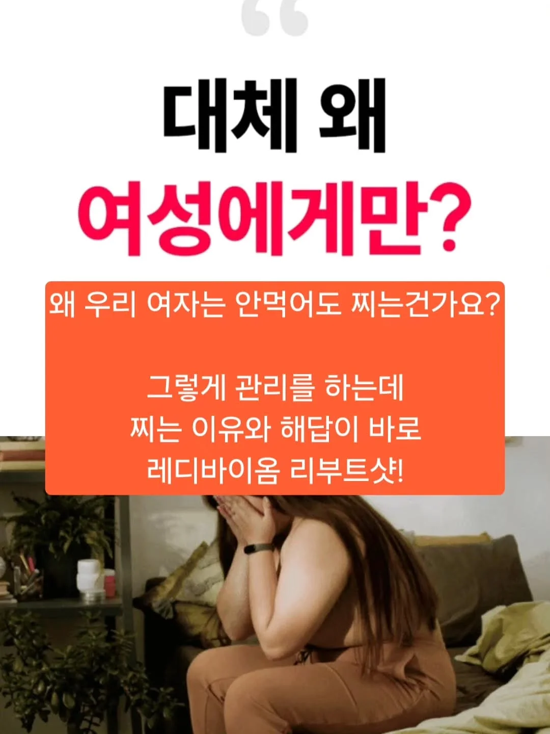 니카사 스팀다리미 2