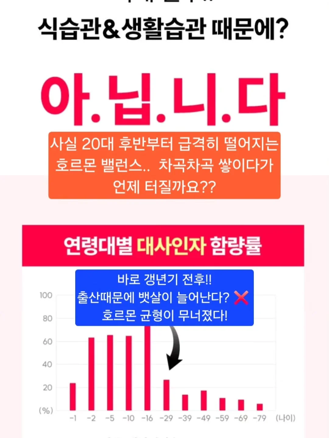 니카사 스팀다리미 3