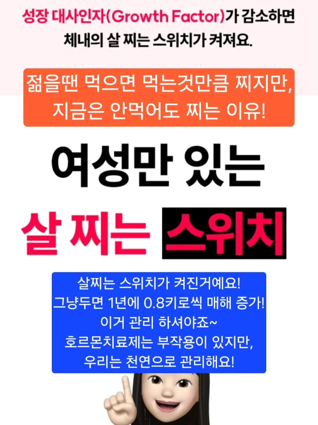 니카사 스팀다리미 4