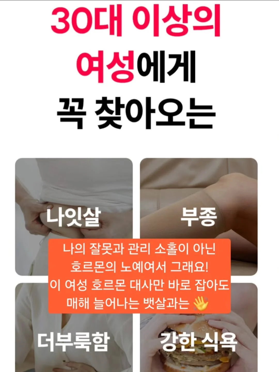 니카사 스팀다리미 5