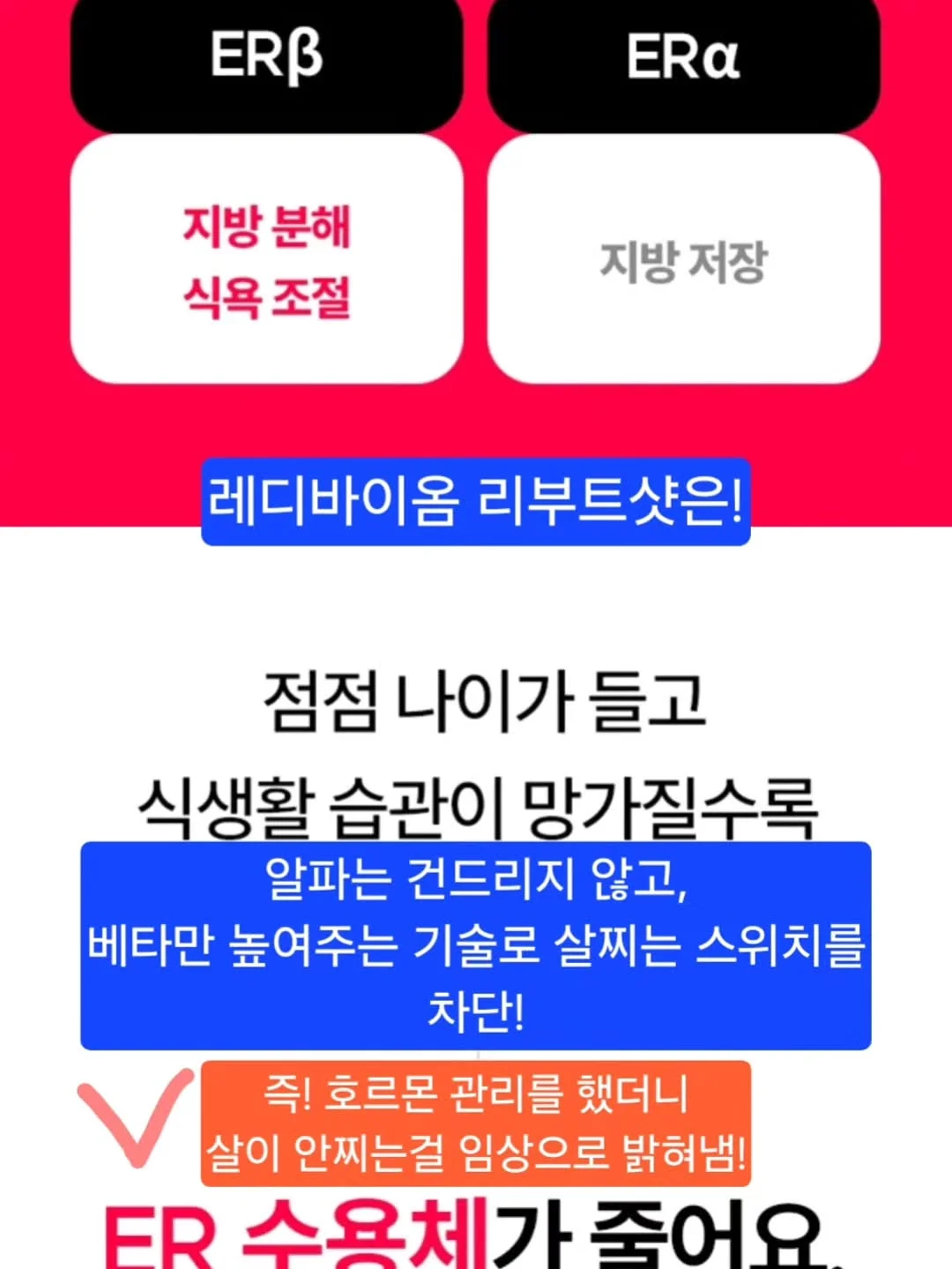 니카사 스팀다리미 7