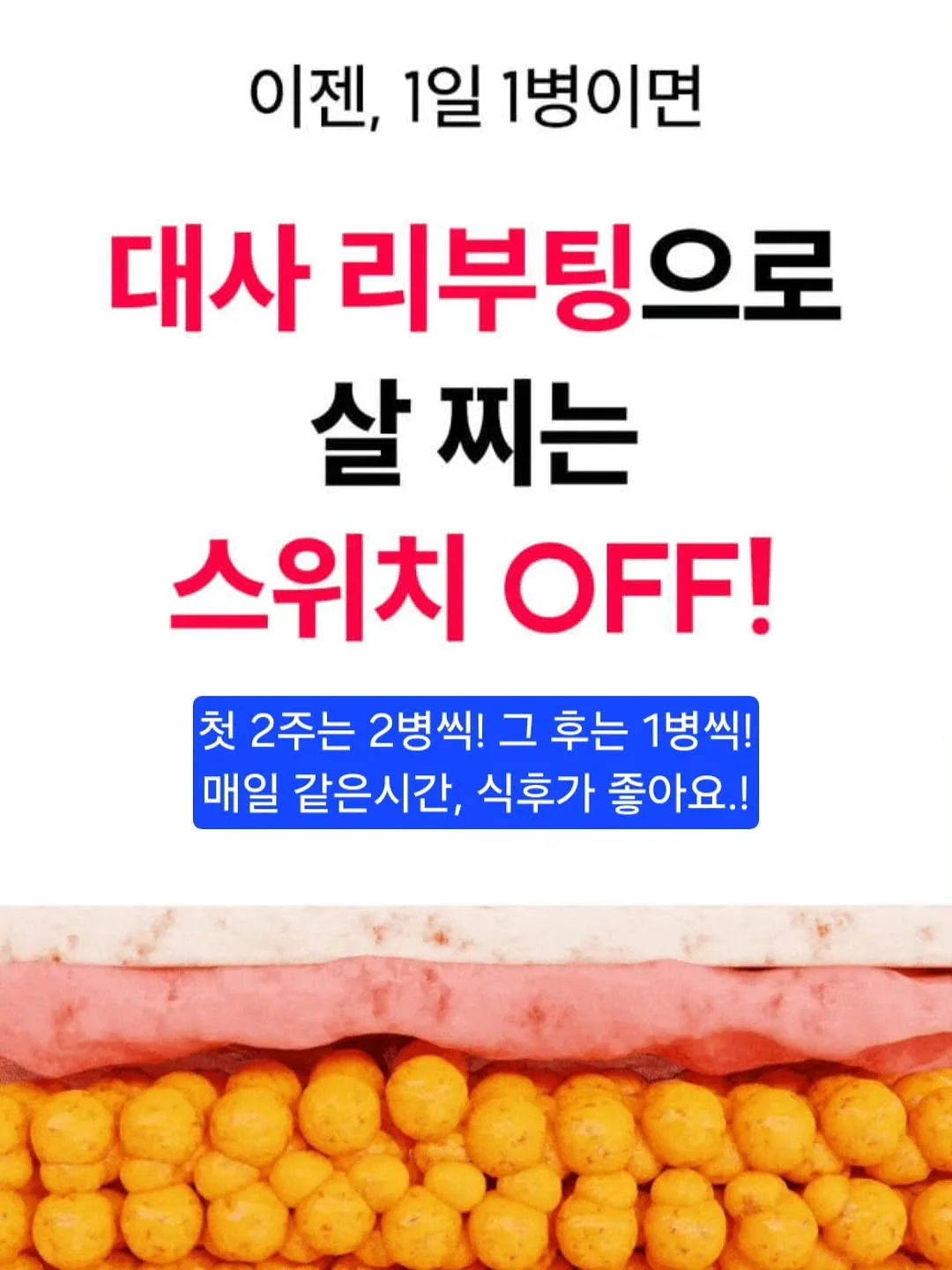 니카사 스팀다리미 9