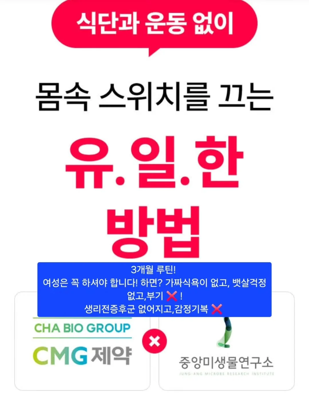 니카사 스팀다리미 10