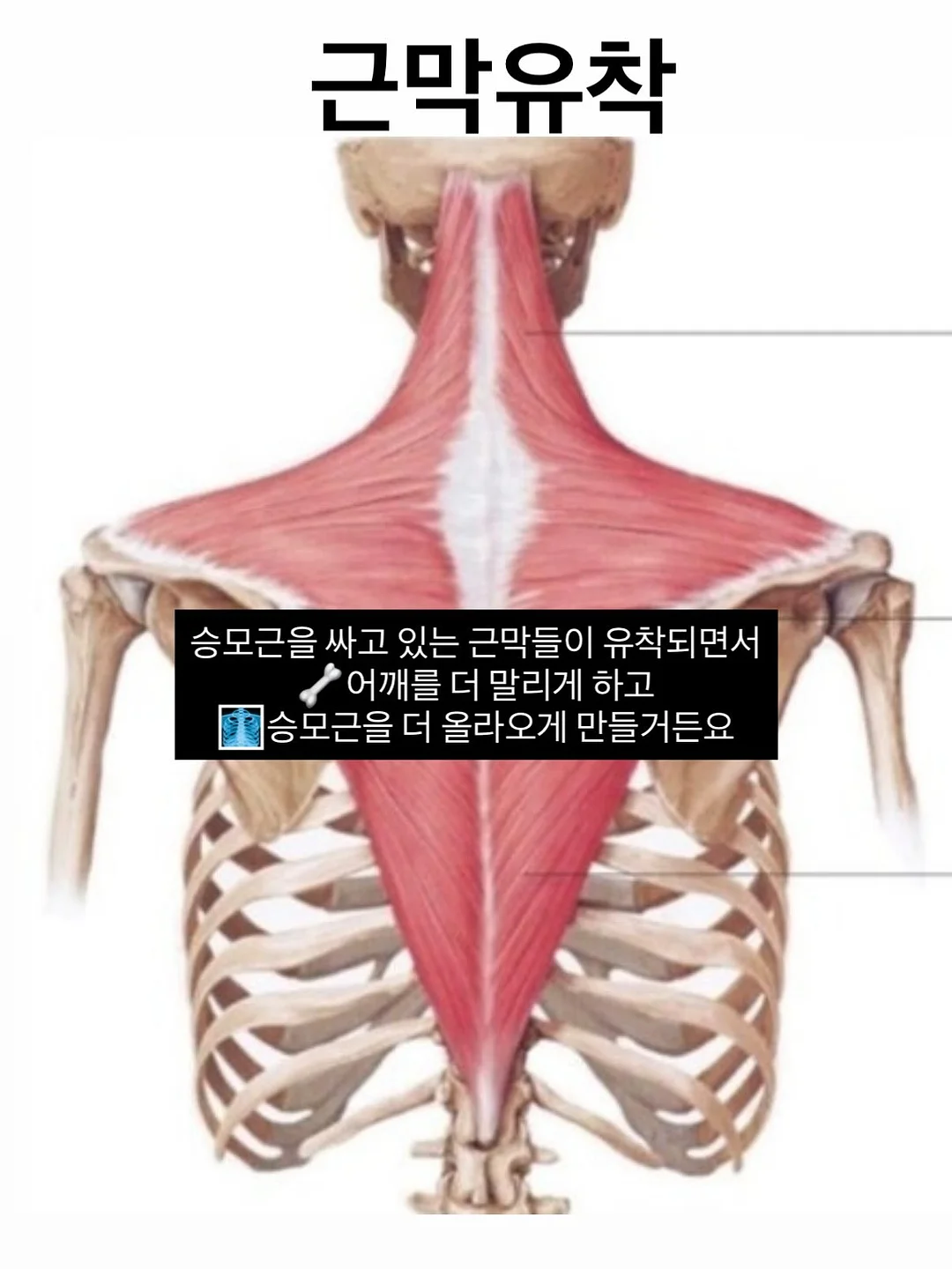 휴대용 선풍기 3