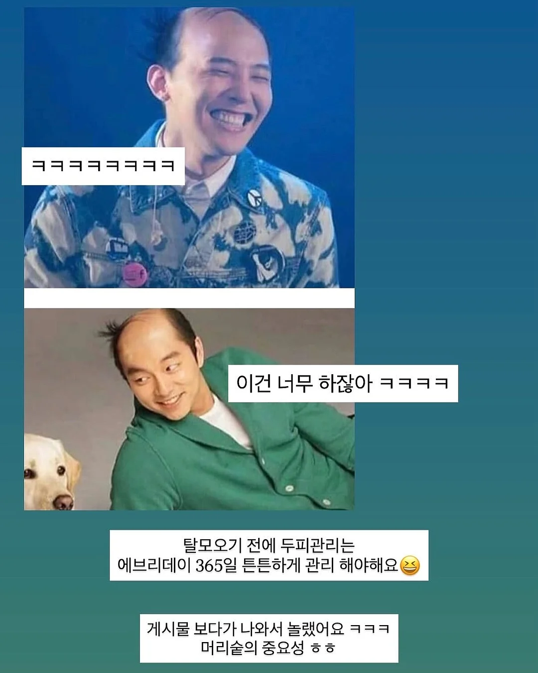 그바다의마지막새 2