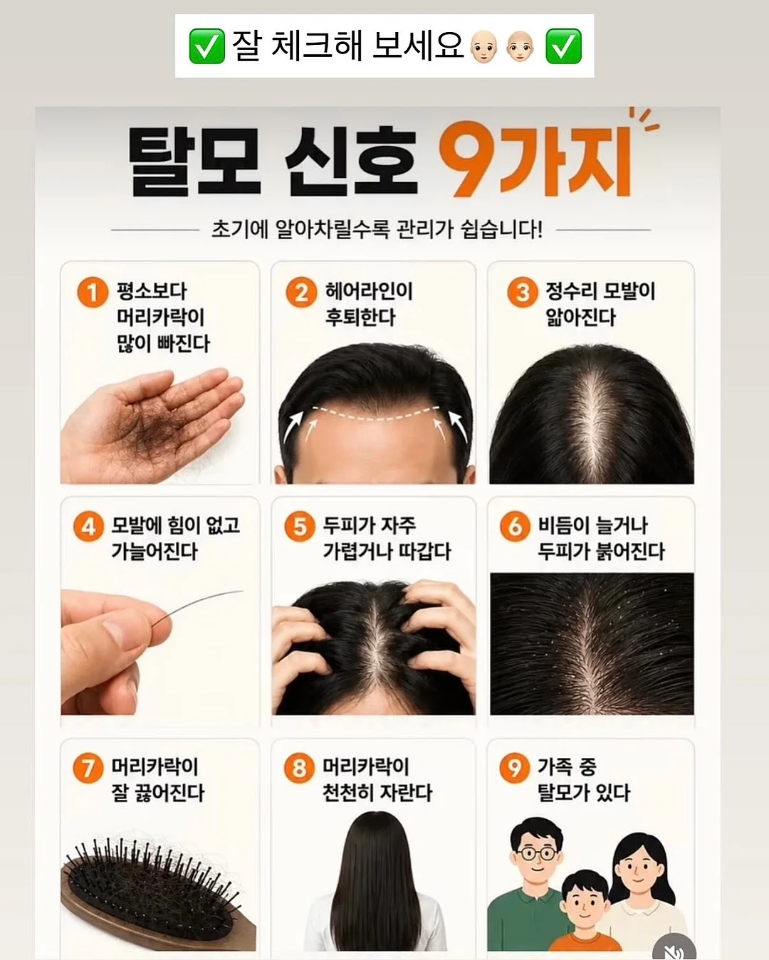 그바다의마지막새 4