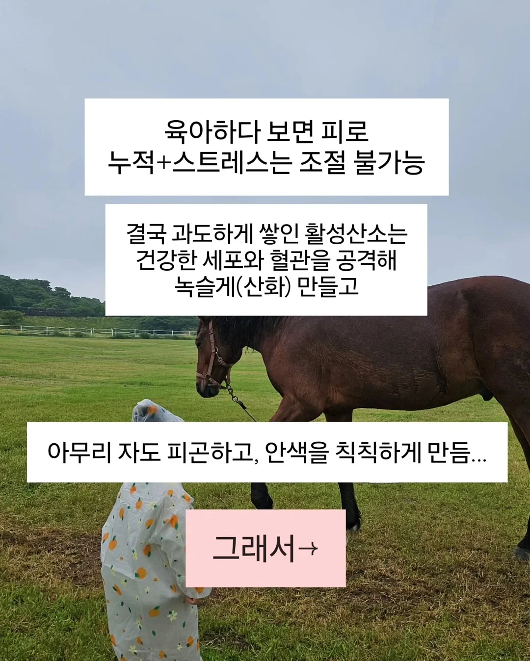 접이식 물병 6