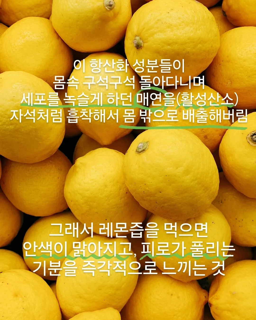 접이식 물병 8