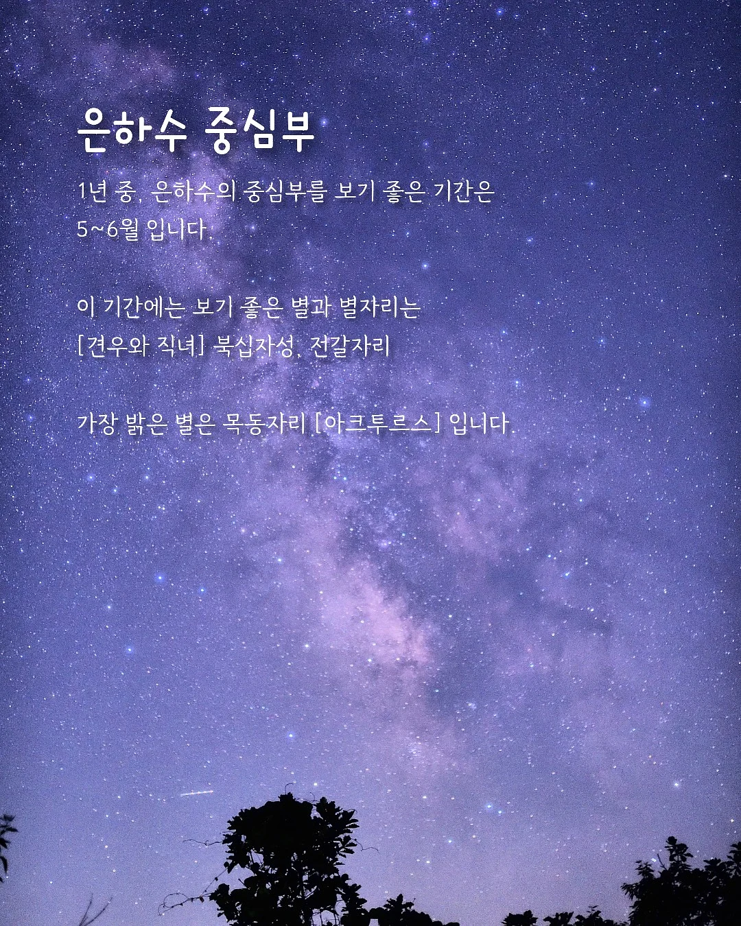 유랑 히치홈 2