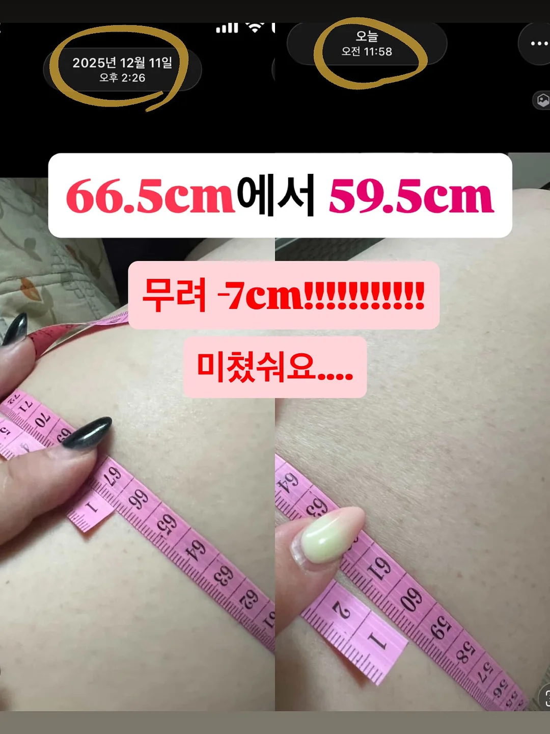 블라우풍트 냉각손풍기 2