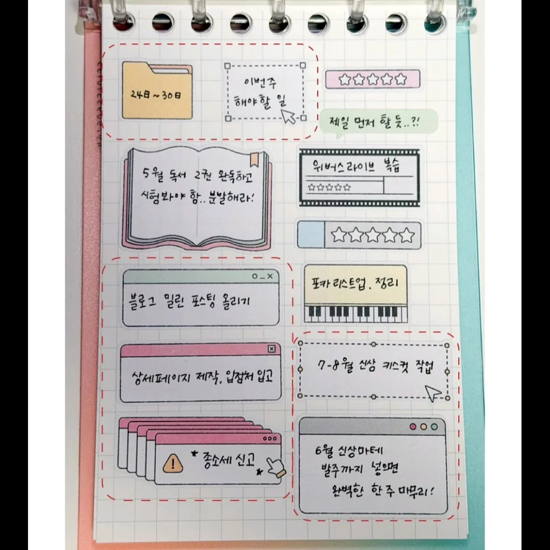 블루베리 세척 13