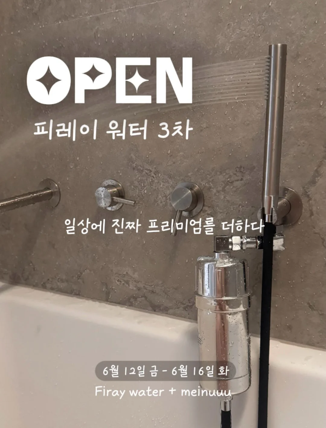 테몰 아보카도칩 1