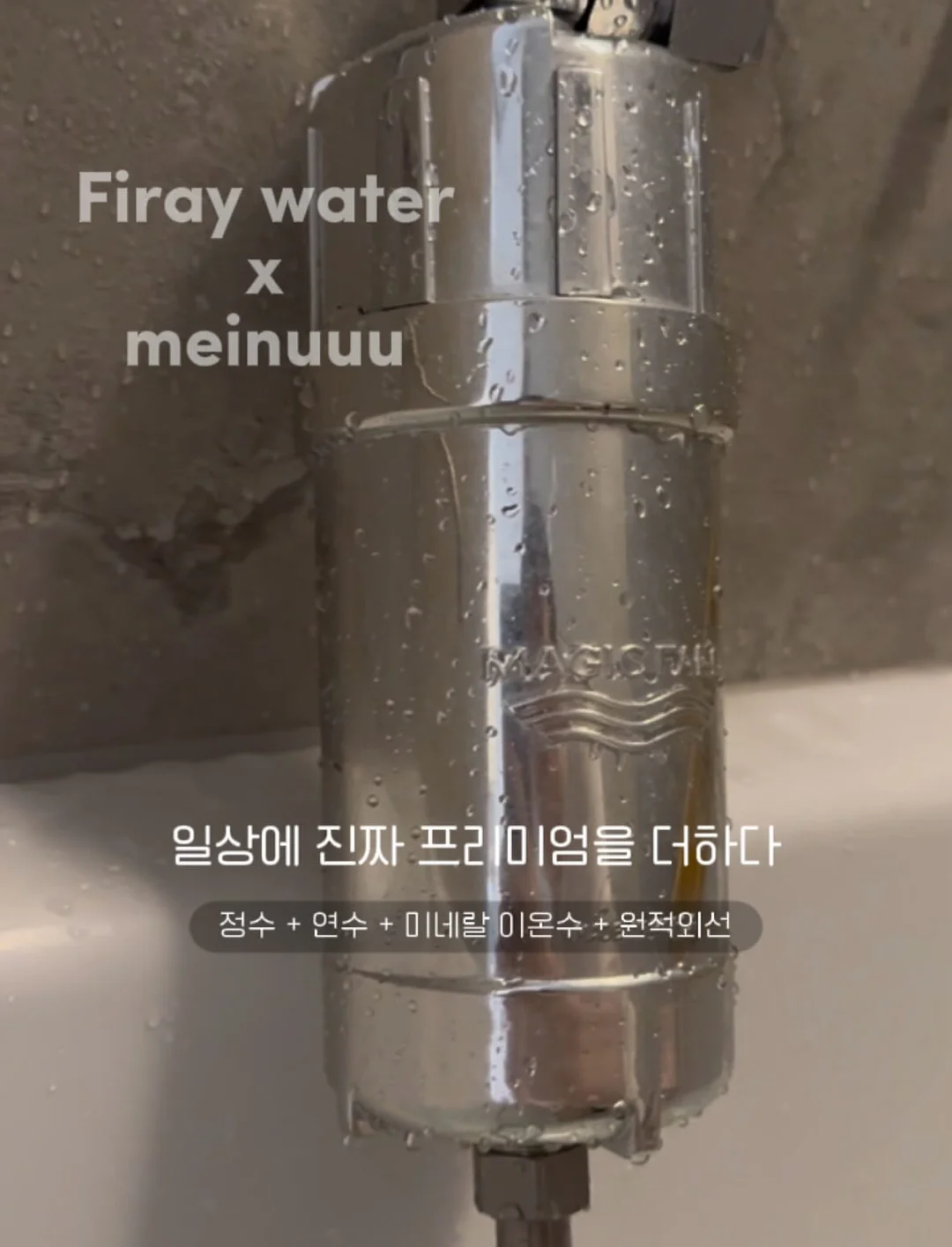 테몰 아보카도칩 19