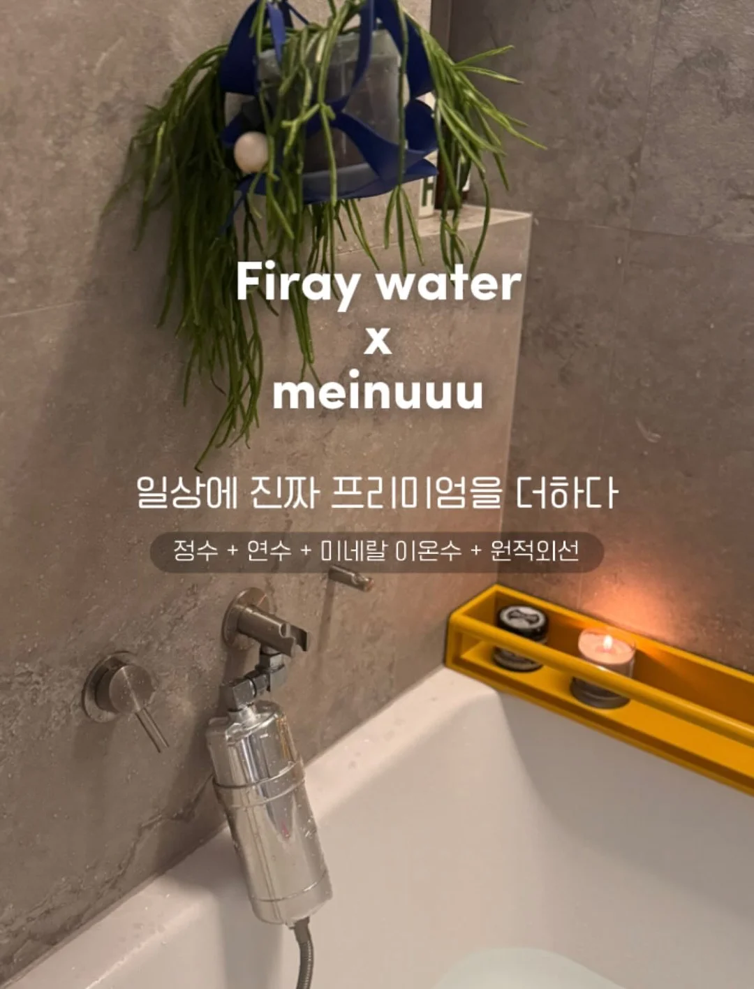테몰 아보카도칩 4