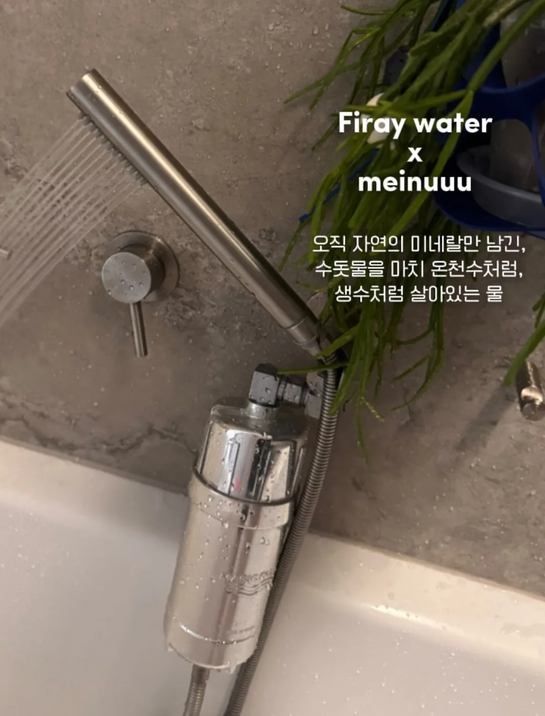 테몰 아보카도칩 5