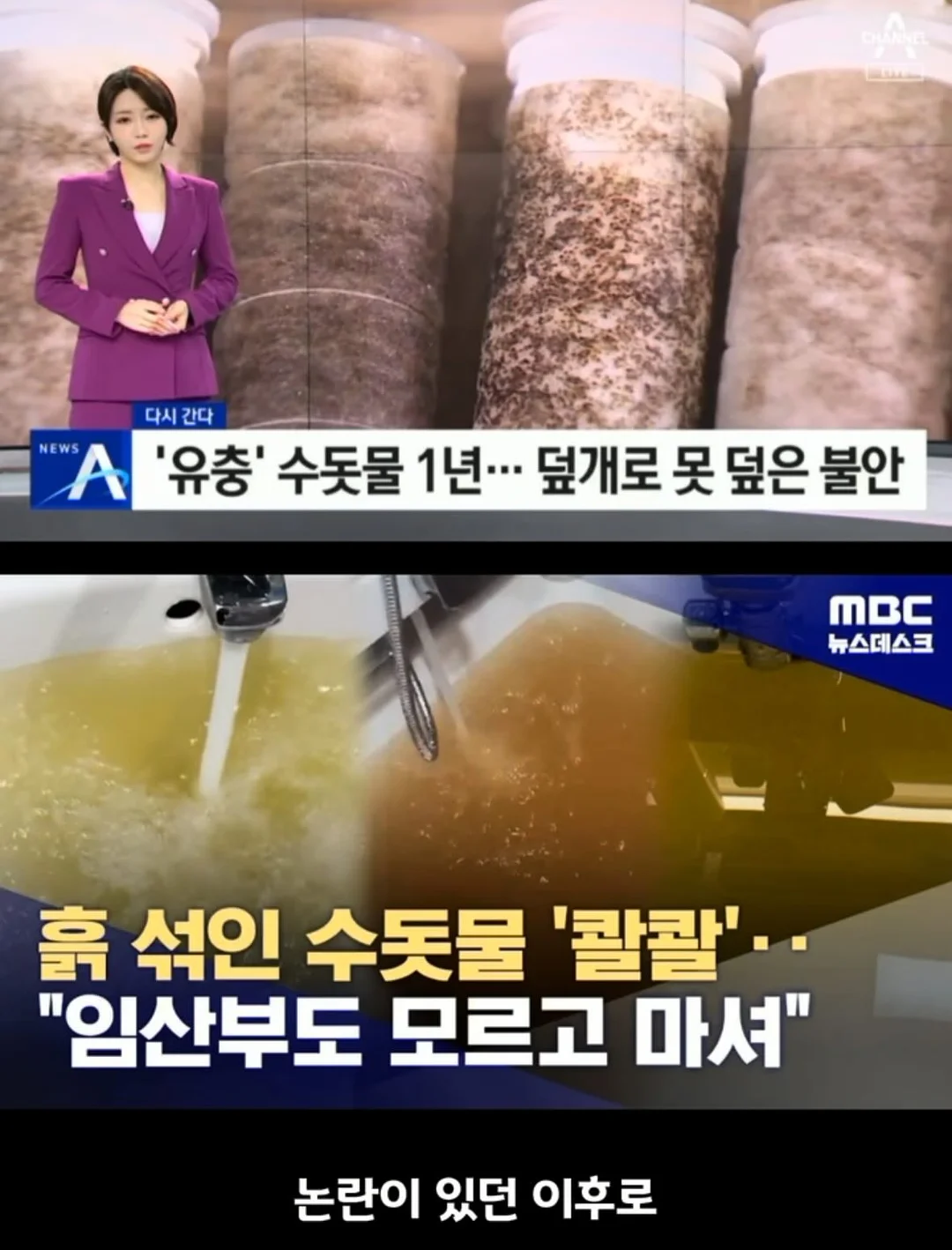 테몰 아보카도칩 9