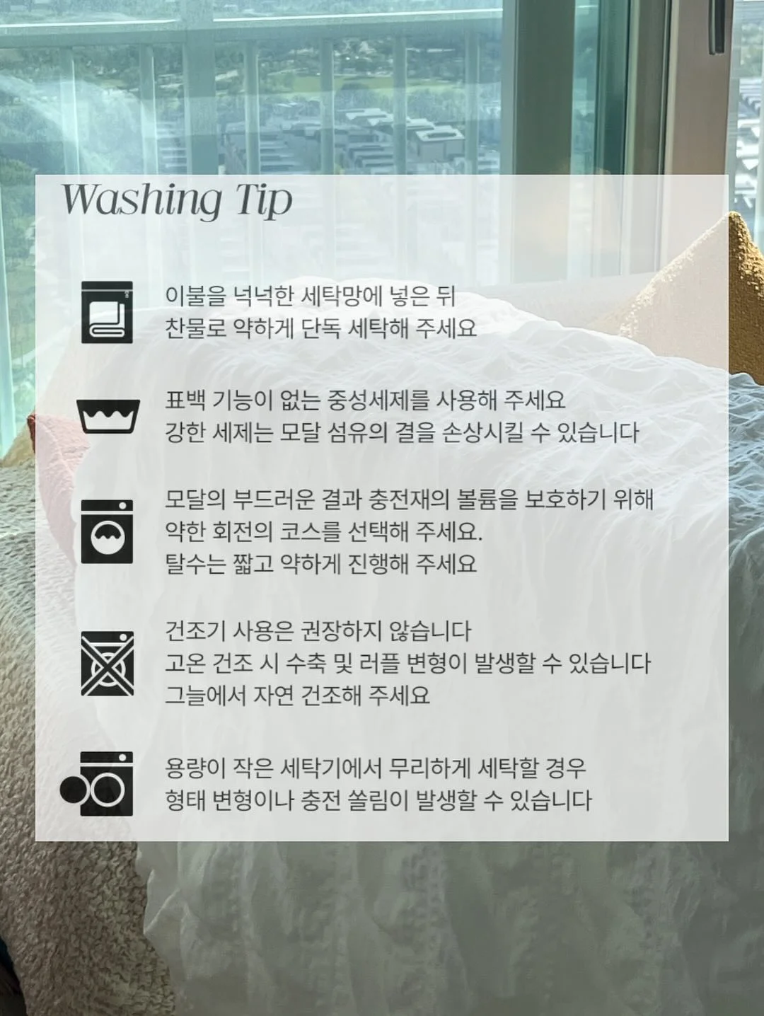 대나무홍콩야자 4