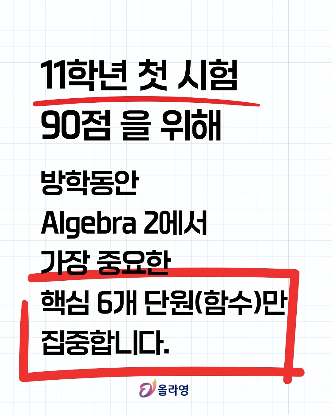 악어티 2
