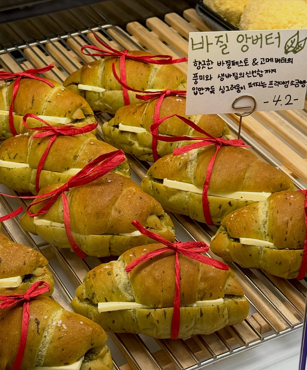치아보험 설계안