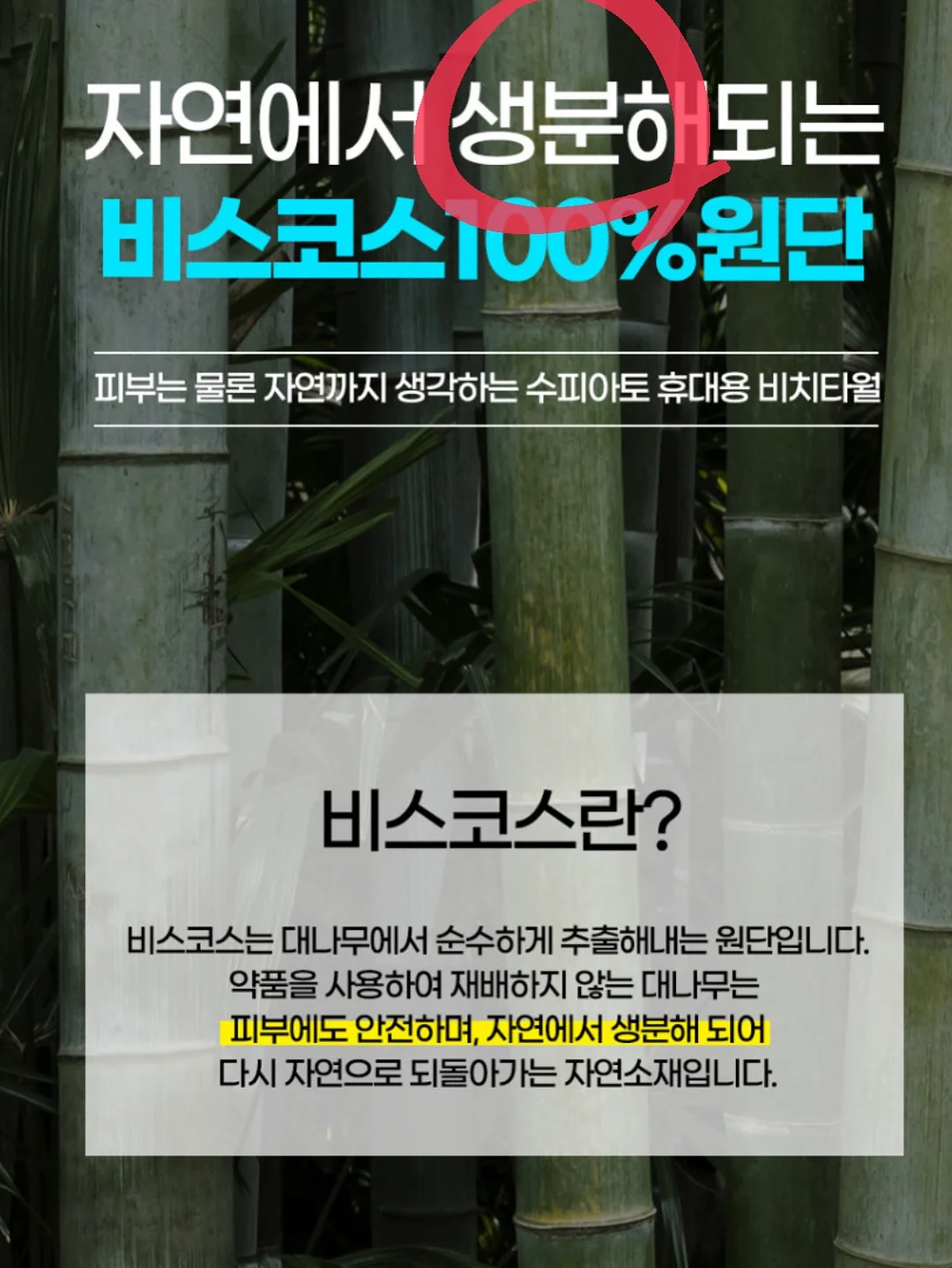 스윔팬츠/패밀리티셔츠/양말 13
