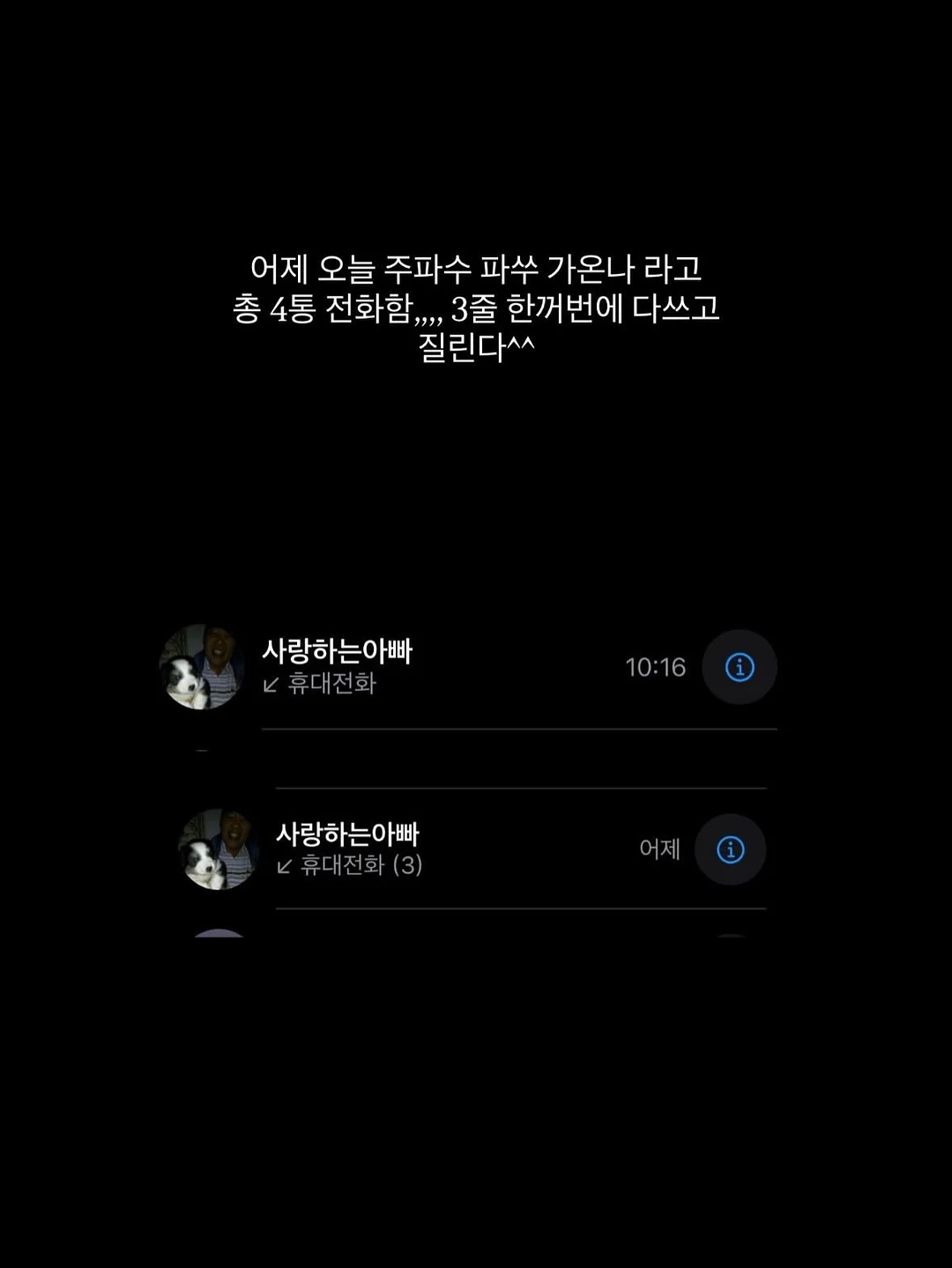 피카소 꼴레지오니 플라즈마 31 블러셔 브러쉬 5