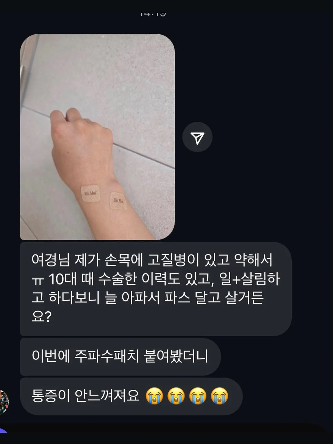 피카소 꼴레지오니 플라즈마 31 블러셔 브러쉬 7