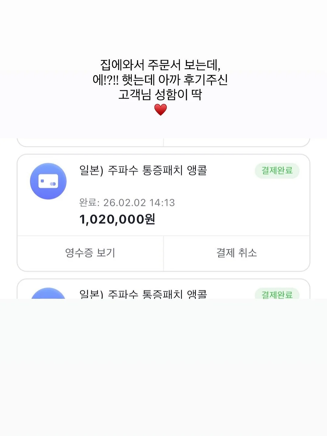 피카소 꼴레지오니 플라즈마 31 블러셔 브러쉬 10