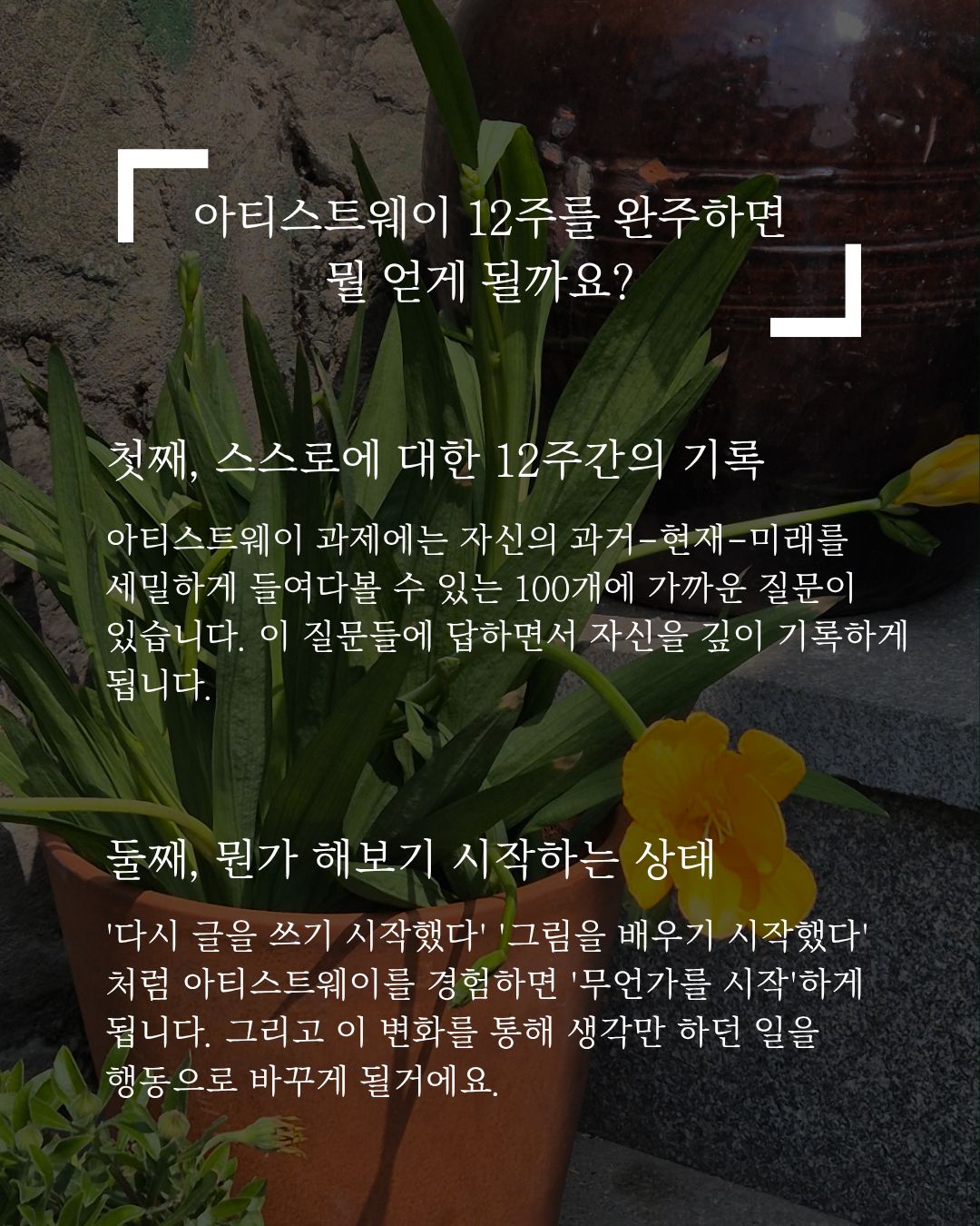 독일 주방용품 6