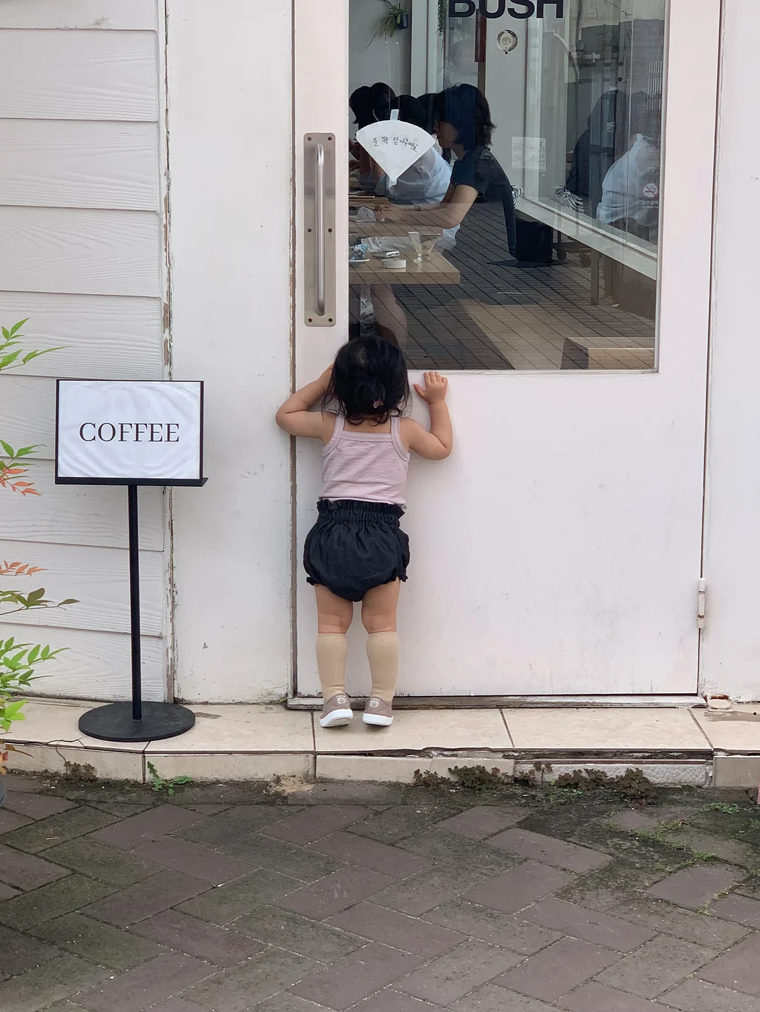 샐러드 클래스 17