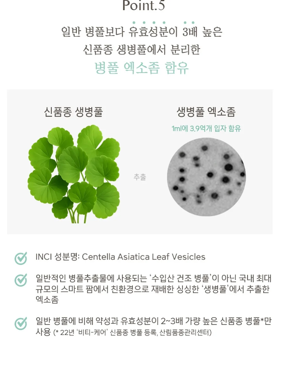 3줄 원터치 귀걸이 8