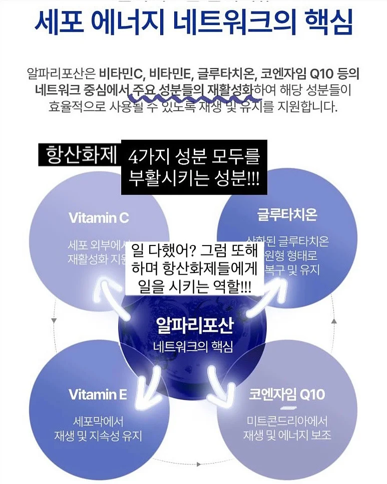 마즈쿠리 플로랄 모티브 탑 5