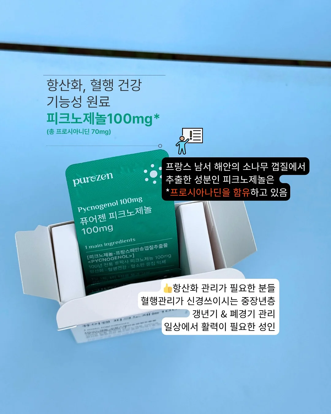 플리츠 코디 4