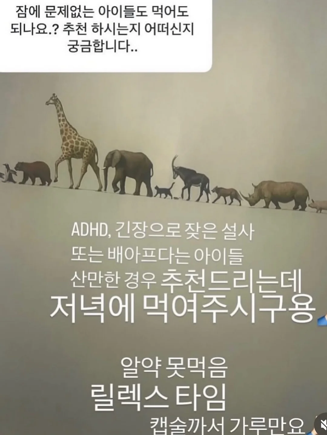 초코헬스 마카다미아 초콜릿 14